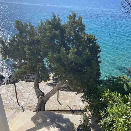 Apartment Climatise Avec Terrasse & Privee - Fr-1-816-5 Le Lavandou